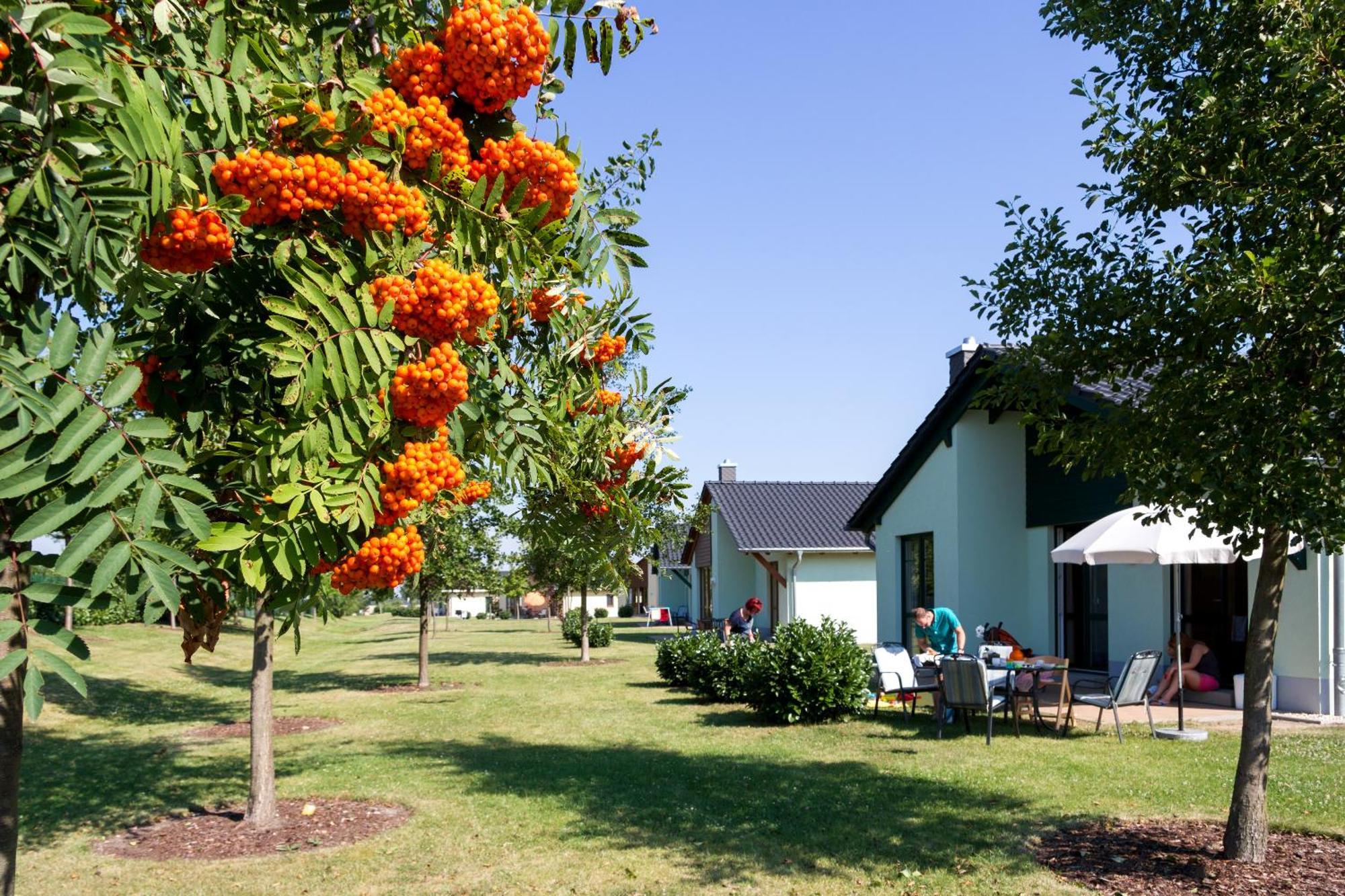 Seepark Auenhain Markkleeberg Room photo